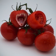The Rotten Tomato