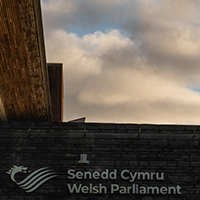 The Senedd